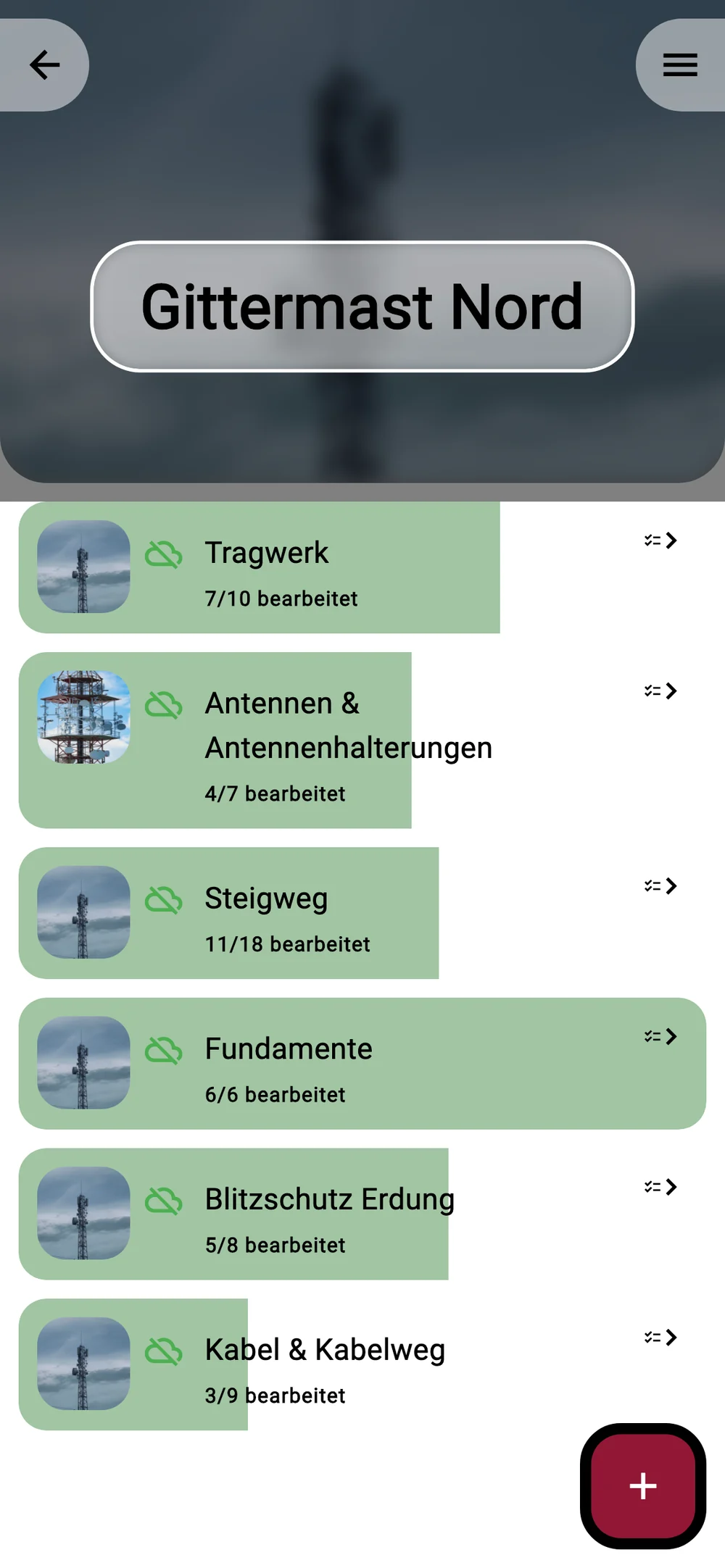 Originale Prüfkategorien für Funkmasten mit Bearbeitungsfortschritt